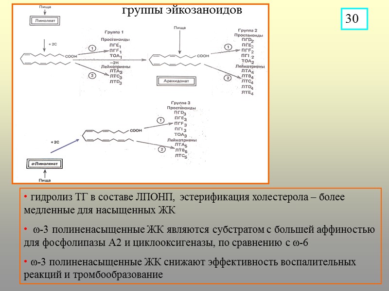 30  гидролиз ТГ в составе ЛПОНП, эстерификация холестерола – более медленные для насыщенных